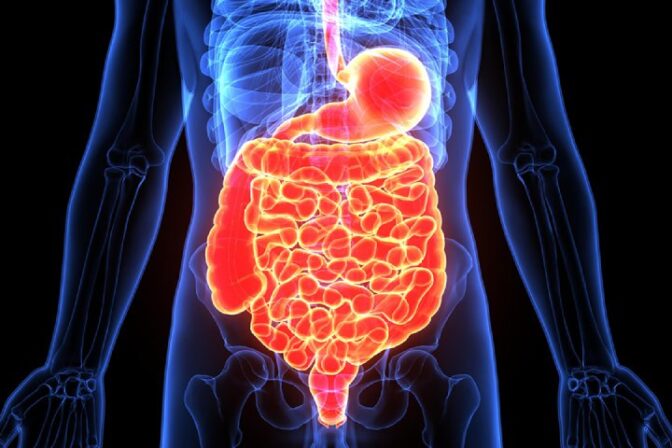Abdominal wall reconstruction surgery by expert surgeon.