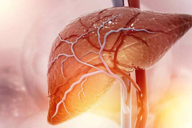 Doctor explaining fatty liver disease to a patient using a liver model in a hospital setting