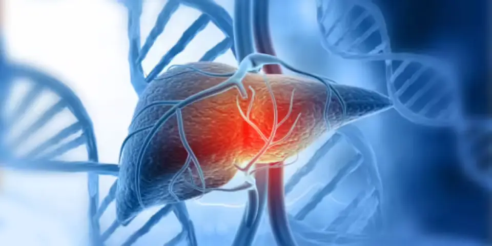 Best Fatty Liver Treatment in Bangalore by Dr. Bhushan Chittawadagi