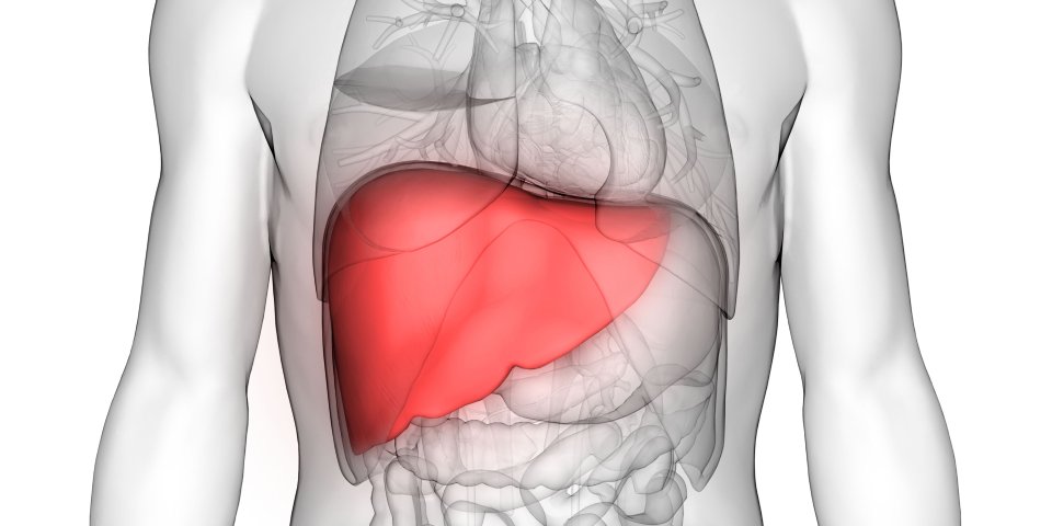 Liver transplant surgeon in Bangalore performing advanced liver surgery